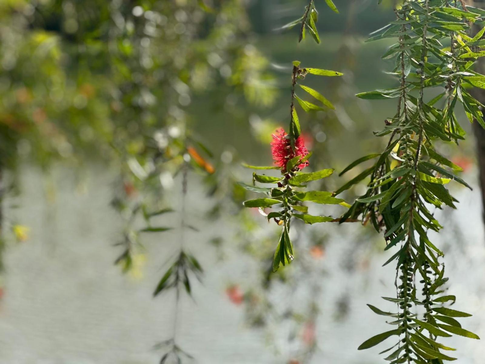 Lakeside Cottage By Clover Nuwara Eliya Bagian luar foto