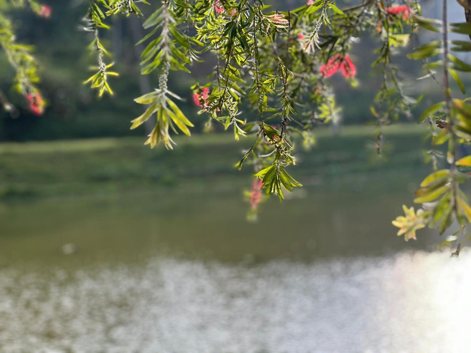 Lakeside Cottage By Clover Nuwara Eliya Bagian luar foto