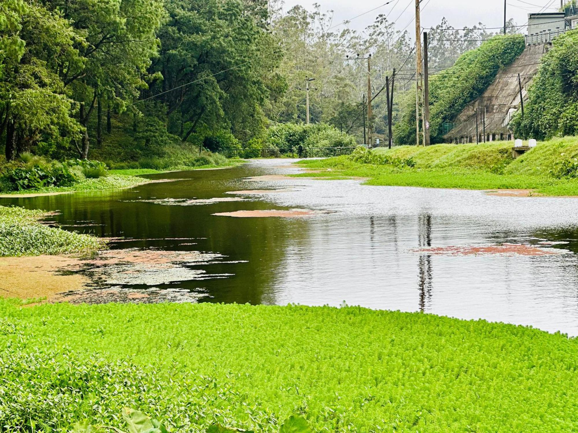 Lakeside Cottage By Clover Nuwara Eliya Bagian luar foto